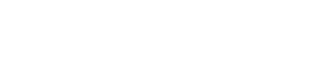 logo-pub-leaders-summit-white